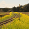 菜の花Railway