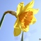 7D025A54-C816-496C-9E94-1B218243B194
