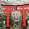 今日の菅原神社