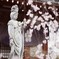 新井薬師 梅照院　＊　春桜