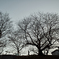 SDIM000320101201