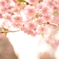遅咲き