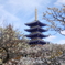 青龍塔 春景色