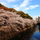 神田川にて