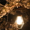 夜桜って難しい