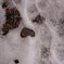 軒下からの雪解け