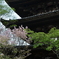 八坂の塔