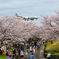 American Airline(N807AA)