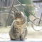 Spring is in the air*
