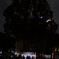 DSCF0867_afterC1