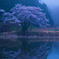 蒼い春