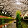横浜・江川せせらぎ緑道