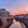 大岡川夕景