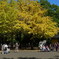 光が丘公園