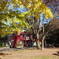 和田堀公園