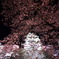 弘前夜桜