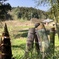 タケノコのある風景