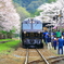沢山のカメラマンに囲まれて