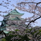城を彩る