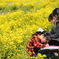 菜の花畑で・・・