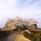 竹田城跡の桜６
