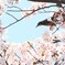 いくぞー