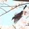 場さぁ～軌道調整