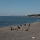 DSCF1020