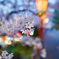 お花見デート