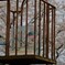 すべり台でお花見インコ。