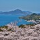 島に春訪れて。。。！
