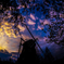 _MG_2325 (1)