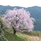 9141D0D4-F28E-40D0-AE2B-5DA18843B6B7