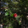 E76C4680-54B4-4680-8FE3-CB13AC400299