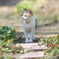 so full of curiosity*