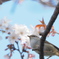 「桜に鶯-4」
