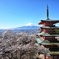 新倉山浅間公園