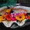 貝 と 花
