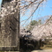 桜が映える季節(^^)/