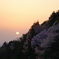 春の夜明け