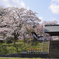 花寺