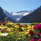Lake Louise in Canada