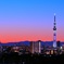 Purple sunset