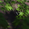2039F8A1-4D3E-4CB1-9B61-526400636038