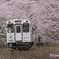 花列車は行く