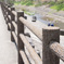 散歩道