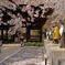 茂林寺(春)