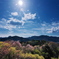 西吉野鹿場（ししば）の桃源郷２