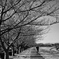 2023-03-03_0013