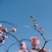 JAL